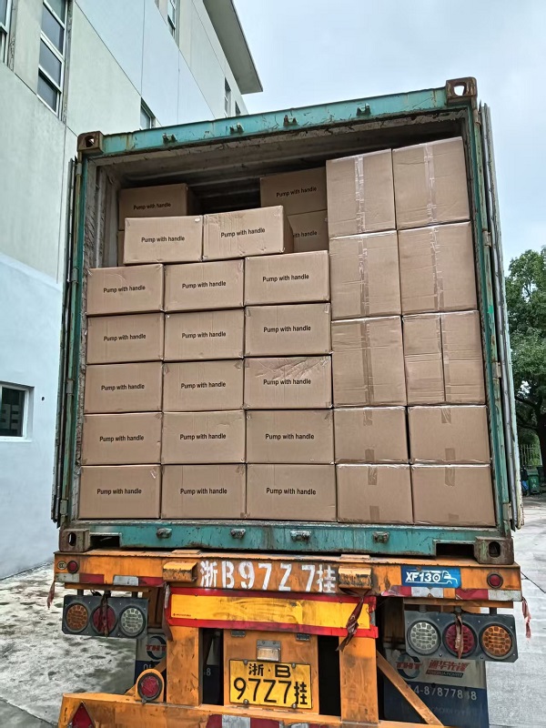 Highly Praised for Quality! Our Garden Pumps Successfully Shipped to Europe After Custom Packaging